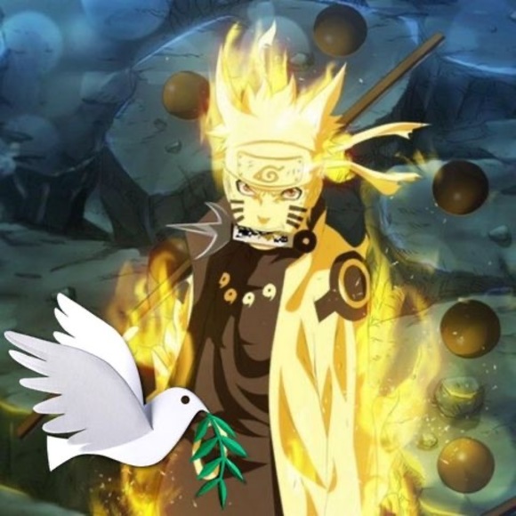 Meet your Posher, Cristopher - Picture 1 of 1